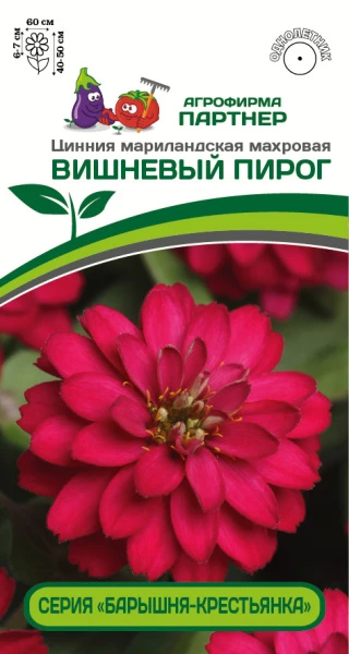 Партнер Цинния ВИШНЕВЫЙ ПИРОГ / мариландская махровая ^(5шт) , изображение 0