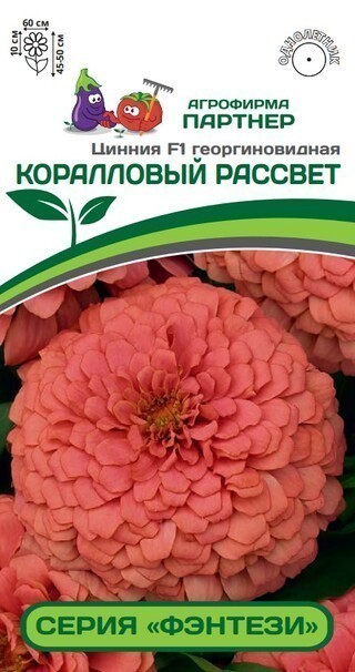 Партнер Цинния F1 КОРАЛЛОВЫЙ РАССВЕТ / георгиновидная ^(4шт)