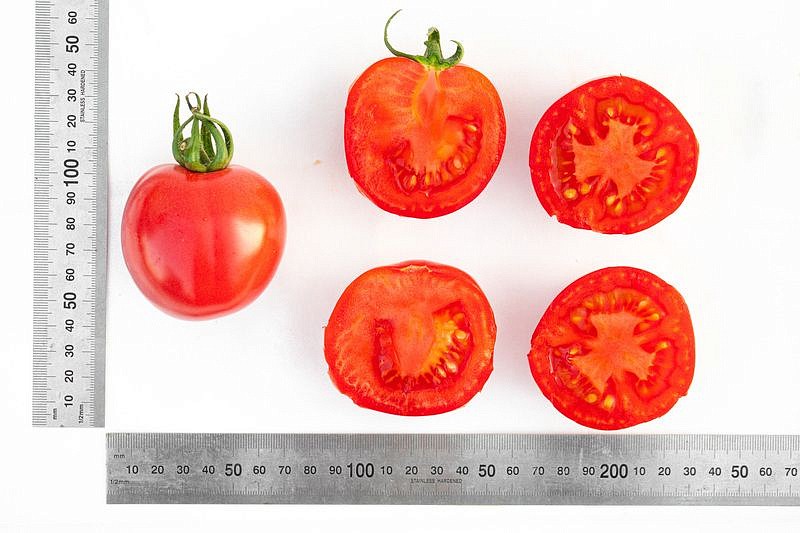 Партнер Томат РОЗОВЫЙ ШАР ^(10шт) 2-ной пак, изображение 5