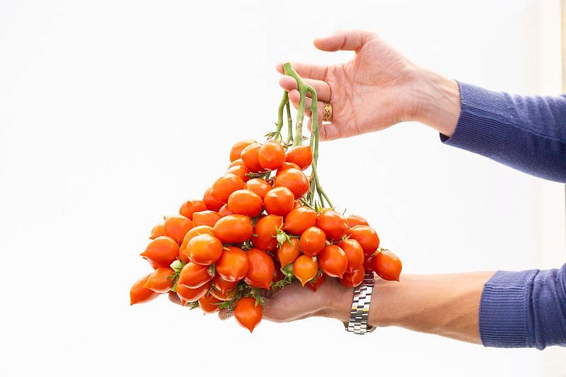 Партнер Томат ПОЦЕЛУЙ ^(10шт) 2-ной пак, изображение 5