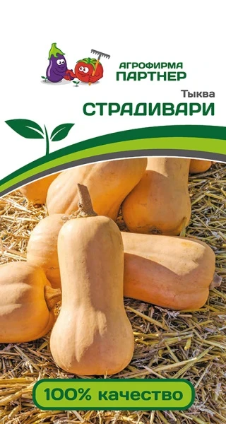 Партнер Тыква СТРАДИВАРИ ^(10шт)