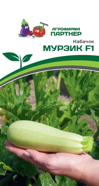 Партнер Кабачок МУРЗИК F1 ^(5шт), изображение 0
