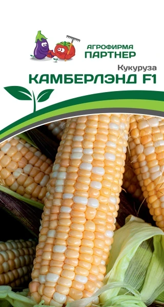 Партнер Кукуруза КАМБЕРЛЭНД F1 ^(3г)
